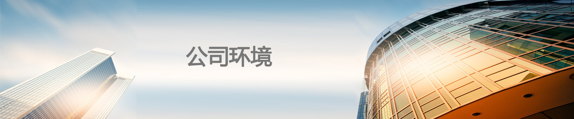 公司（sī）環境