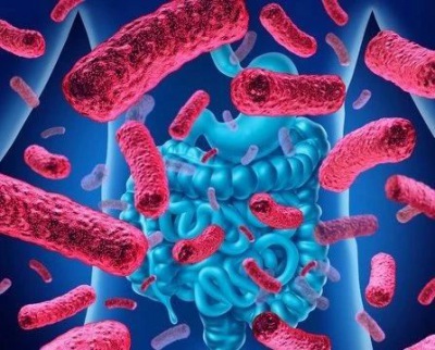 吃點益生菌就想改變腸道菌群？沒那麽容易！《自然》新研究揭示細菌定居有多（duō）難