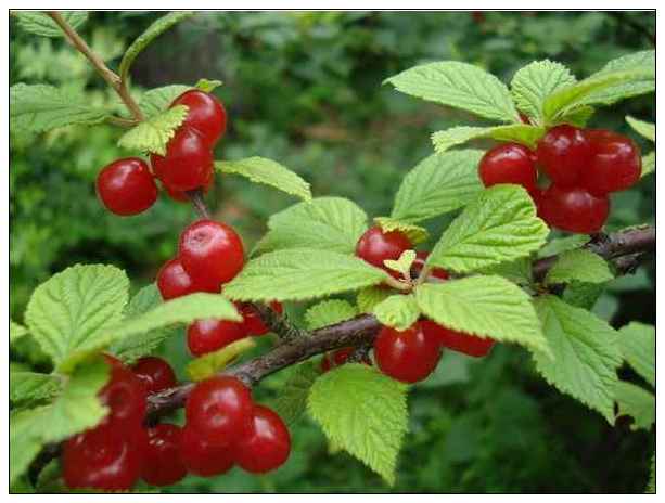 點擊（jī）新窗口打開大圖（tú）