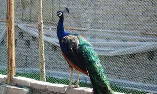 點（diǎn）擊新（xīn）窗口打開大圖