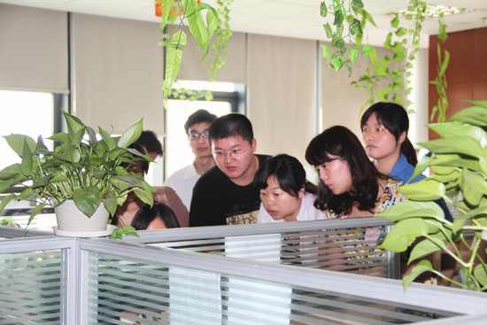 大家（jiā）在互相探討（tǎo）